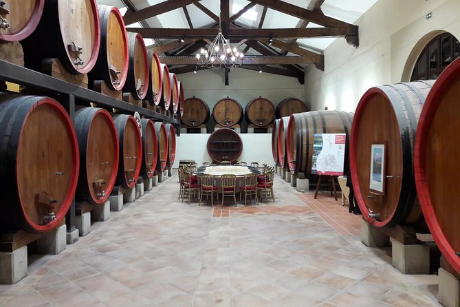 Afternoon Wine Tour to Chateauneuf du Pape from Avignon - Who This Tour Fits Best (And Who Might Prefer Something Else)