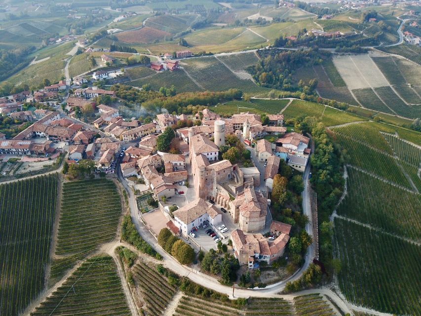 Alba: Truffle Hunting with Cheese, Truffle, & Wine Tastings - White vs Black Truffles: What You Learn Beyond Smell and Price