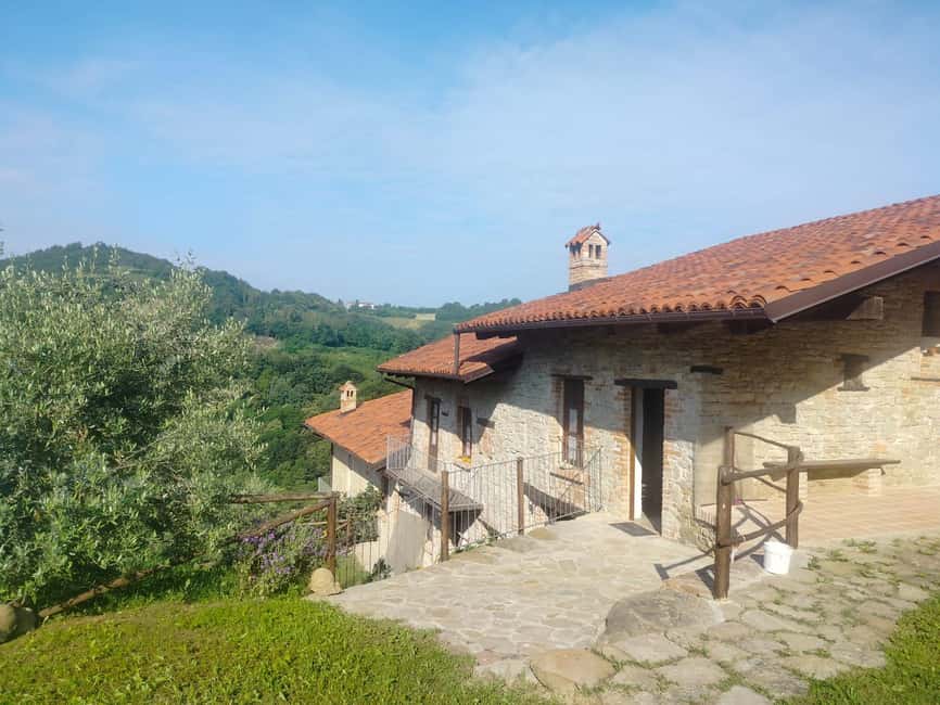 Alba: Truffle Hunting with Cheese, Truffle, & Wine Tastings - The Woods to Enoteca Transition: Timing and Your Own Drive