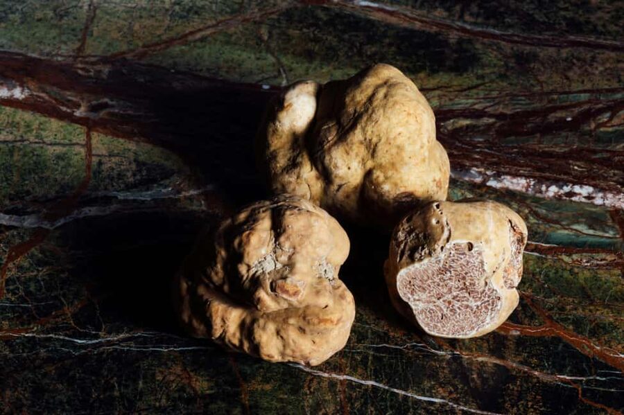 Alba: Truffle Hunting with Cheese, Truffle, & Wine Tastings - Price and Value: The $93 Tour Price Plus the Trifolao Cash Fee
