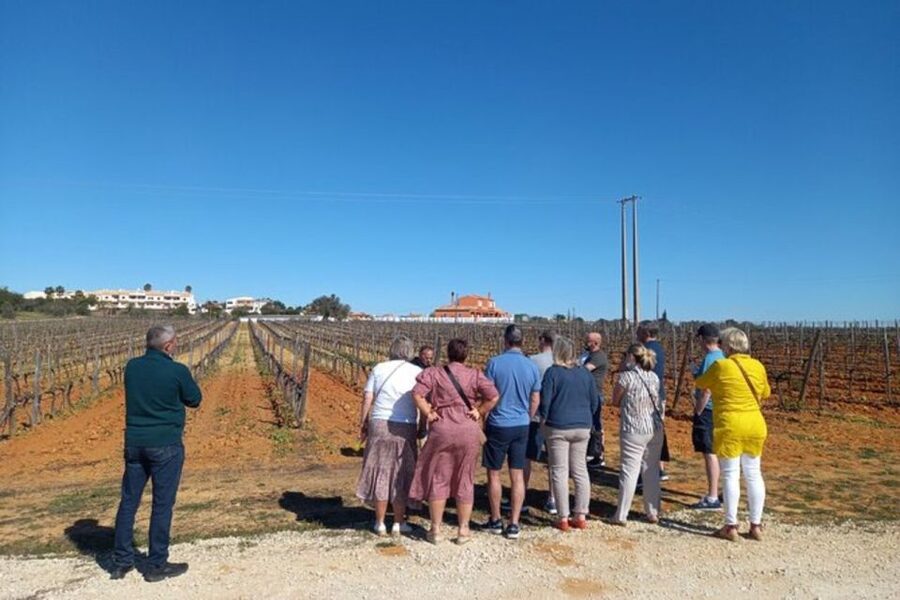 Albufeira/Vilamoura: Winery Tour with Wine Tasting and Tapas - The Sweet and Spirit Finish: Pastel de Nata and Almond Firewater