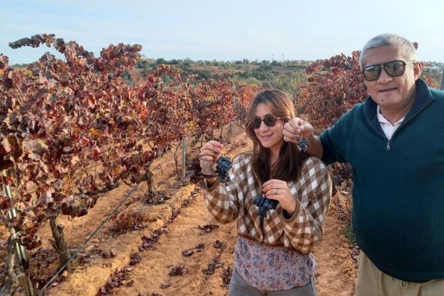 Albufeira/Vilamoura: Winery Tour with Wine Tasting and Tapas - The Winery Tour Portion: A Vine-to-Glass Lesson