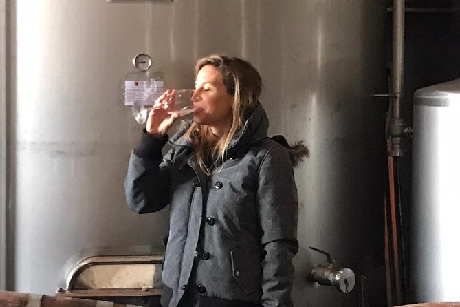 Albufeira Wine Tasting: Boutique Winery Tour & Historic Silves - Small-group comfort: what “up to 20” really means on-site