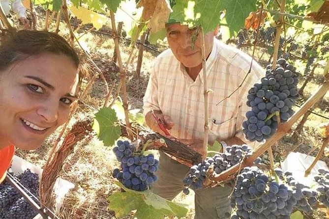 Albufeira Wine Tour: 2 Vineyards, 6 Tastings & Historic Silves - Key Highlights Worth Your Time