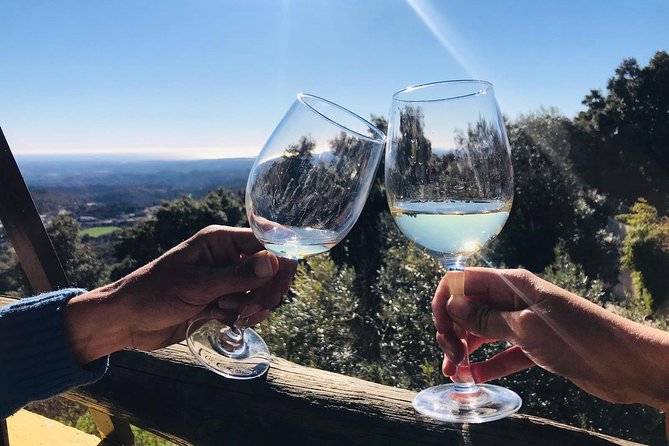 Albufeira Wine Tour: 2 Vineyards, 6 Tastings & Historic Silves - Paxá Wines, Lda.: Negra Mole and Crato in Another Three-Wine Round
