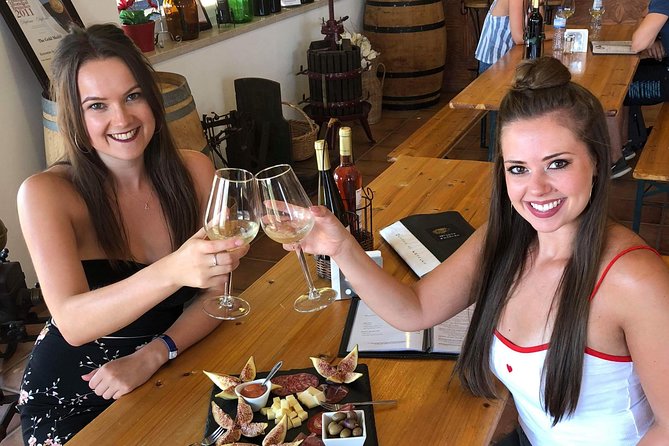 Albufeira Wine Tour: 2 Vineyards, 6 Tastings & Historic Silves - Pacing, Group Size, and How the Day Feels