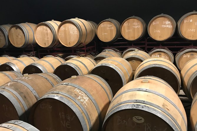 Albufeira Wine Tour: 2 Vineyards, 6 Tastings & Historic Silves - Who This Tour Is Best For (and Who Might Want a Different Day)