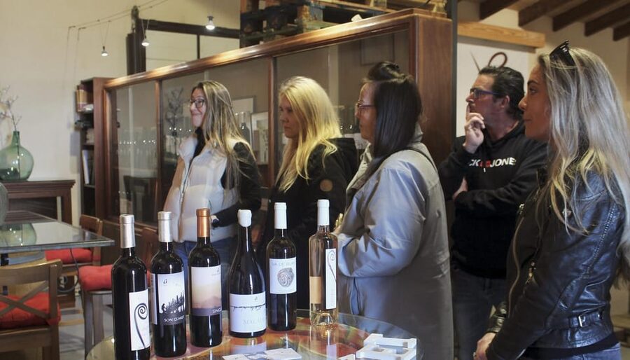 Alcúdia/Can Picafort: Guided Vineyard Visit and Wine Tasting - Should you book the Alcúdia guided vineyard visit and tasting?