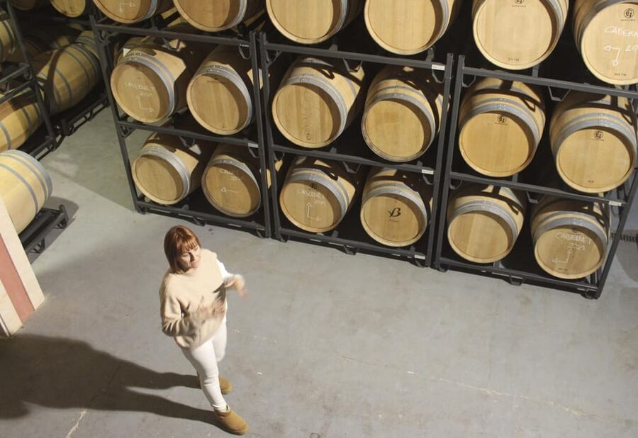 Alcúdia/Can Picafort: Guided Vineyard Visit and Wine Tasting - Inside the winery: barrels, technique, and what makes this place “boutique”