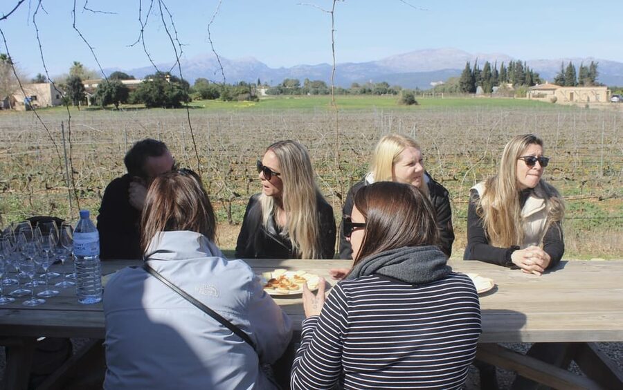 Alcúdia/Can Picafort: Guided Vineyard Visit and Wine Tasting - The tasting terrace: 5 wines, local snacks, and a simple way to taste