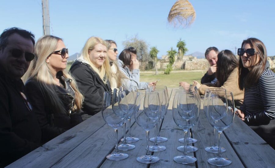 Alcúdia/Can Picafort: Guided Vineyard Visit and Wine Tasting - Who this tour suits best (and who may want to skip it)