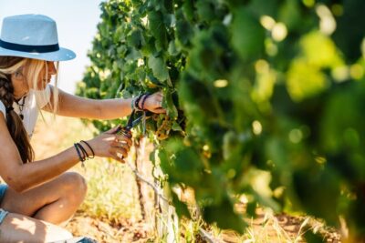 Algarve: Classic Wine Tour & Tasting in Silves - Entering the shop and starting with the right mindset