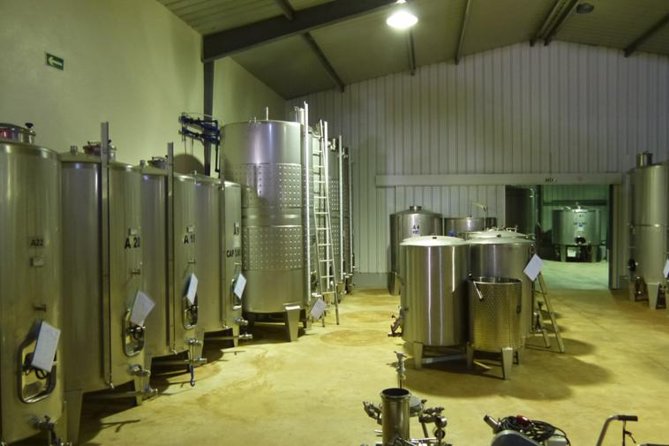Algarve Wine Tour of Two Wine Estates - Algarve Wine Tour of Two Wine Estates: Portimão Pickup and a Tight Half-Day