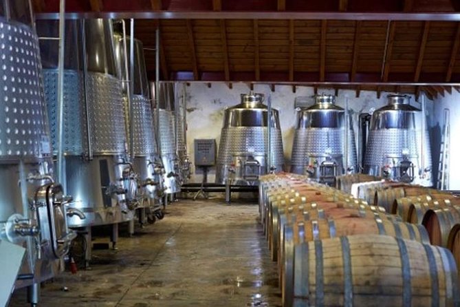 Algarve Wine Tour of Two Wine Estates - Private Attention Without the Full Private Price