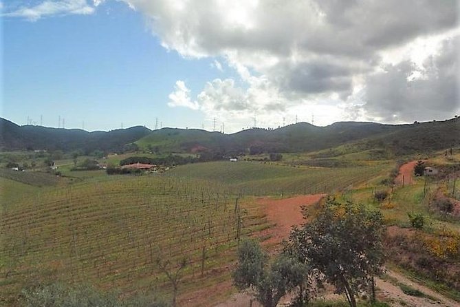 Algarve Wine Tour of Two Wine Estates - FAQ