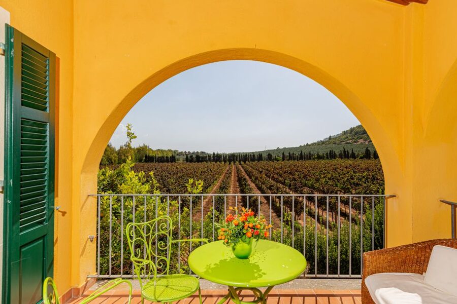 Alghero: Wine and Olive Oil Tasting at a Local Farm - The five Sardinian wines: what you’re really tasting