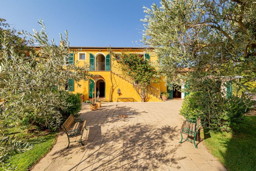 Alghero: Wine and Olive Oil Tasting at a Local Farm - Shopping time: bring home bottles that match what you actually tasted