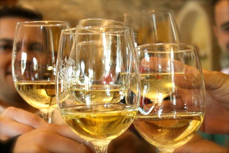 Alicante: Countryside Wine Tour with 4 Tastings - Vineyard time with an Alicante local: what to watch for