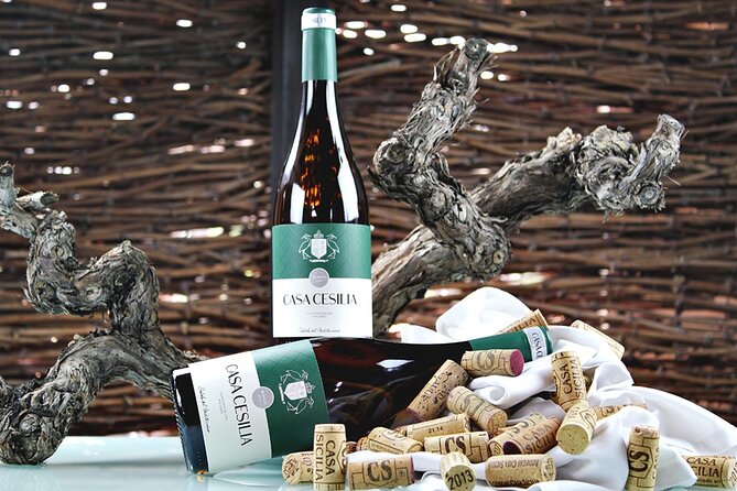 Alicante: Old Winery with Tastings & Gaudí's style of Church - Alicante to Novelda: the comfortable ride that sets the tone