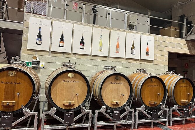 Alicante: Old Winery with Tastings & Gaudí's style of Church - The tasting at the restaurant: white, rosé, red with real snacks