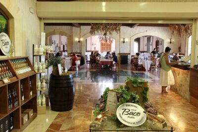 Alicante: Old Winery with Tastings & Gaudí's style of Church - Inside the 1707 winery: vineyards to fermentation to bottling