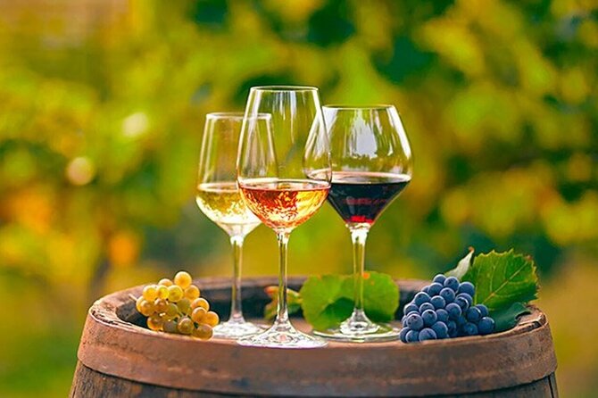 Alicante: Old Winery with Tastings & Gaudí's style of Church - Photo and pacing tips that actually matter