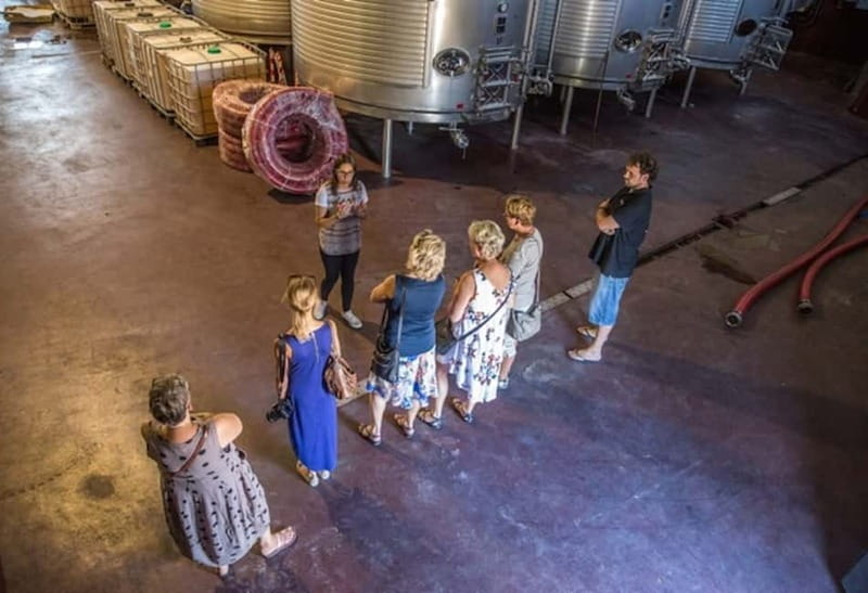 Alicante: Small-Group Countryside Wine Tour with 4 Tastings - Four Tastings Done the Right Way: How to Taste Like You Mean It