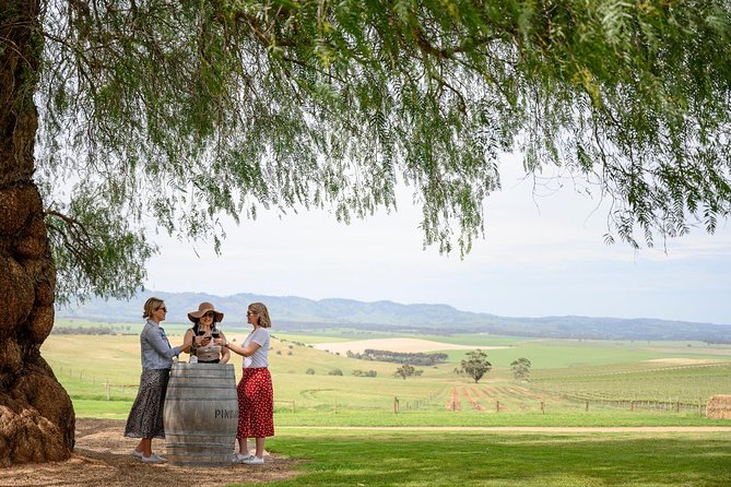 All Inclusive Barossa Valley Food and Wine Tour - Driving Between Wineries: The Part You Get to Skip