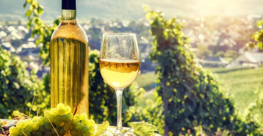 Alsace: Full-Day Wine Tour & Tastings from Strasbourg - A Few Things You’ll Notice Right Away