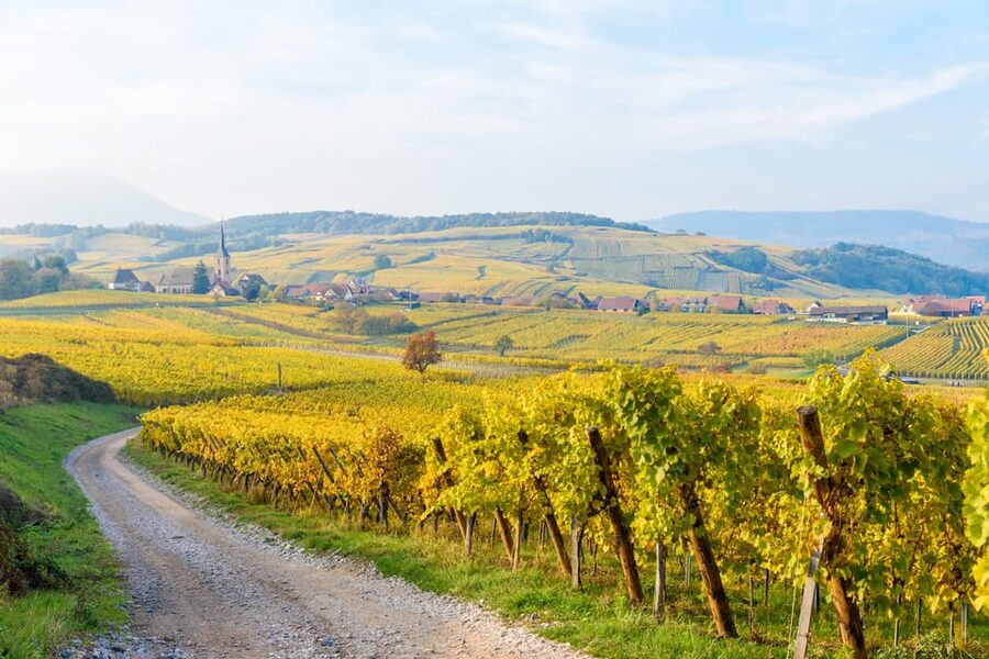 Alsace: Full-Day Wine Tour & Tastings from Strasbourg - A Full Day of Alsace Wine Country From Strasbourg’s Cathedral Square