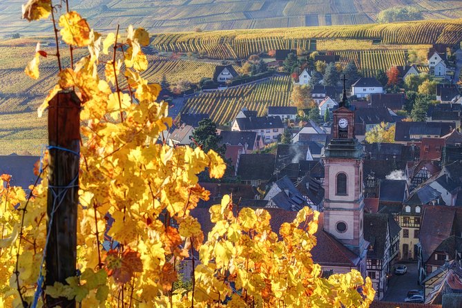 Alsace Half Day Wine Tour from Colmar - Key highlights you’ll care about