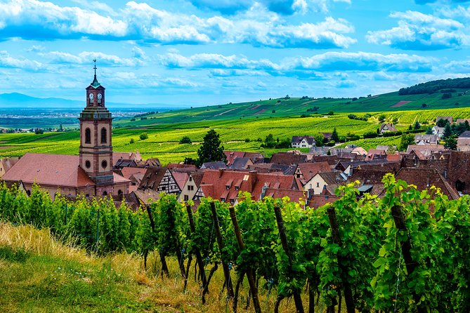 Alsace Half Day Wine Tour from Colmar - Colmar to Vine Country: Why This Half Day Works