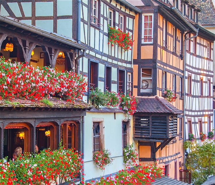 Alsace Half-Day Wine Tour from Strasbourg - Who should book this tour from Strasbourg