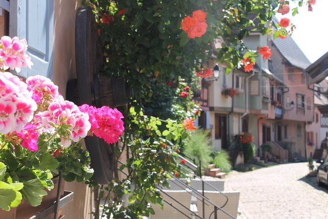 Alsace Wine Route Small Group Half-Day Tour with Tasting from Strasbourg - Leaving Strasbourg: the 4-hour Alsace Wine Route in an 8-seat minivan
