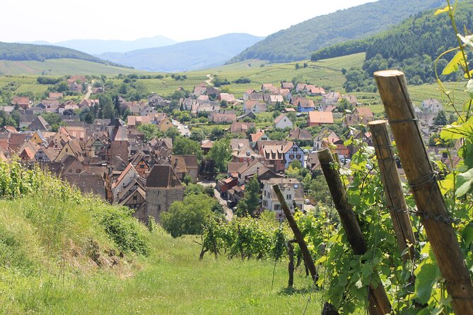 Alsace Wine Route Small Group Half-Day Tour with Tasting from Strasbourg - Stop 1: the Route des Vins d’Alsace drive that sets up your tastings