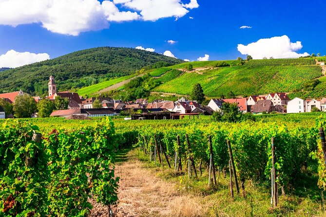 Alsace Wine Route Small Group Half-Day Tour with Tasting from Strasbourg - How much wine, and why breakfast matters more than you think