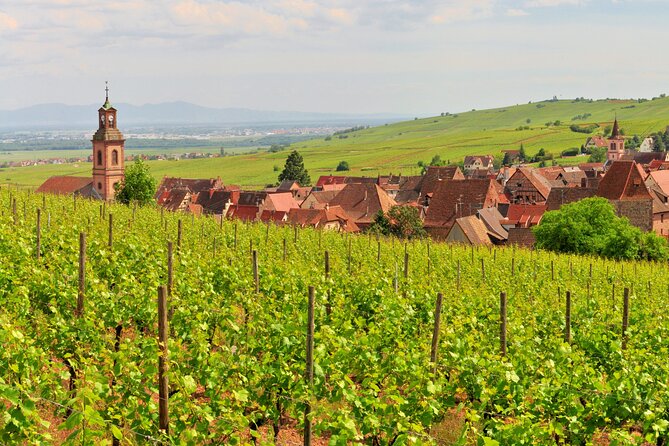 Alsace Wine Route Small Group Half-Day Tour with Tasting from Strasbourg - Small-group logistics that keep the day from feeling rushed
