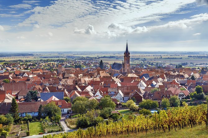 Alsace Wine Route Wineries & Tasting Small Group Guided Tour from Strasbourg - Lunch break: eat first so tastings stay fun