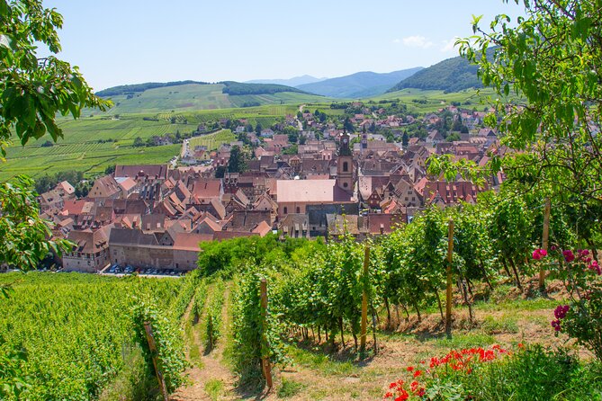 Alsace Wine Route Wineries & Tasting Small Group Guided Tour from Strasbourg - What you’ll taste: Alsace whites in plain terms