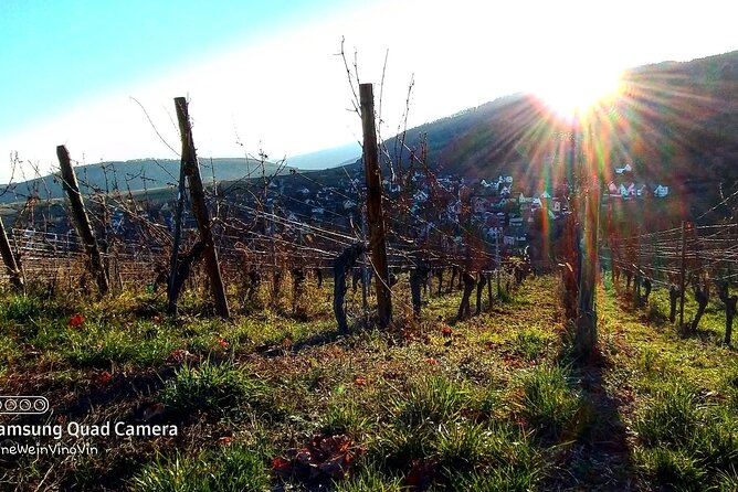 Alsace wine tour and medieval villages. Small group guided tour - How to get the most from the tastings (without overdoing it)