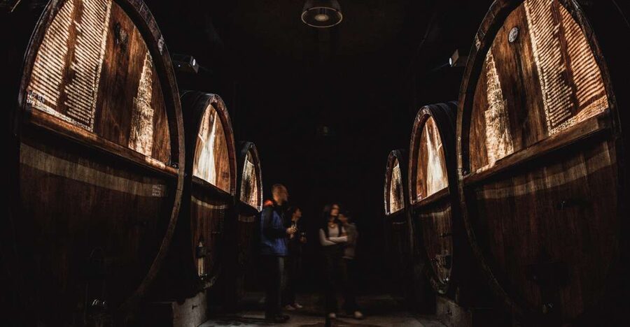 Alsatian Guided Wine Tasting and Immersive wine cellar tour - Key Highlights You Should Know