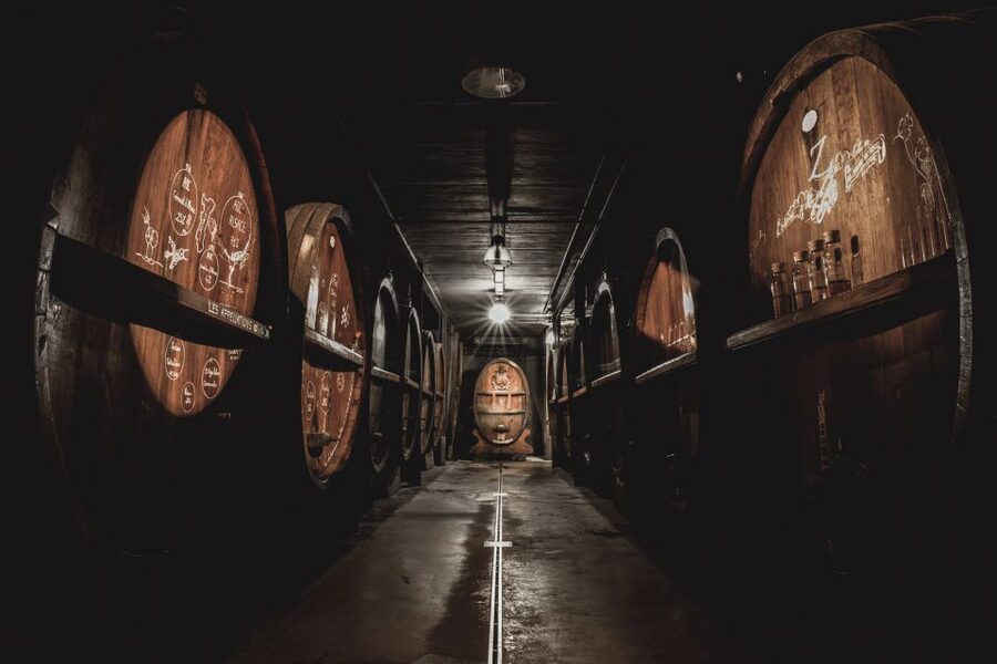 Alsatian Guided Wine Tasting and Immersive wine cellar tour - Should You Book This Alsace Wine Cellar Tour?