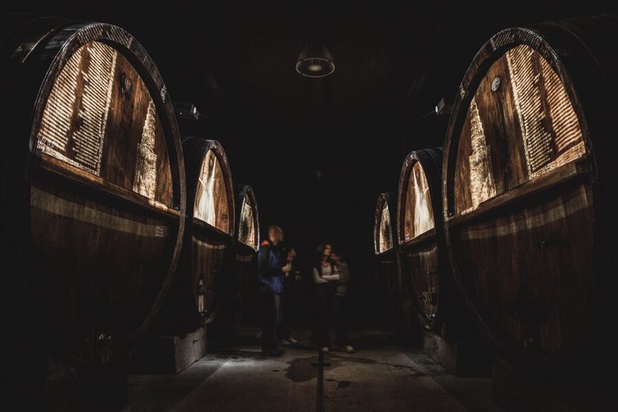 Alsatian Guided Wine Tasting and Immersive wine cellar tour - A Renovated Family Winery in Alsace: Where the Tour Starts