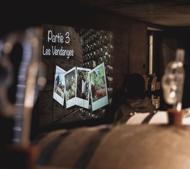 Alsatian Guided Wine Tasting and Immersive wine cellar tour - The 180° Barrel Video Experience (And Why People Love It)