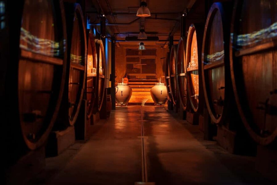 Alsatian Guided Wine Tasting and Immersive wine cellar tour - Price and Value: Is $22 Worth 90 Minutes?