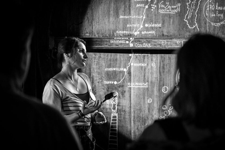 Alsatian Guided Wine Tasting and Immersive wine cellar tour - Who This Tour Fits Best (And Who Might Skip It)