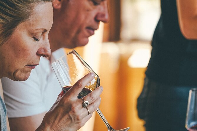 Amarone Wine-tasting Tour from Verona with Private Transportation - Key Highlights You’ll Actually Feel During This Tour