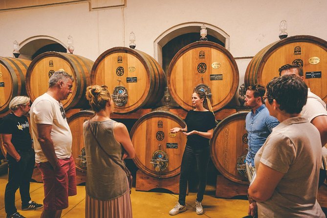 Amarone Wine-tasting Tour from Verona with Private Transportation - Why Valpolicella Wineries Feel More Real Than Day Trips