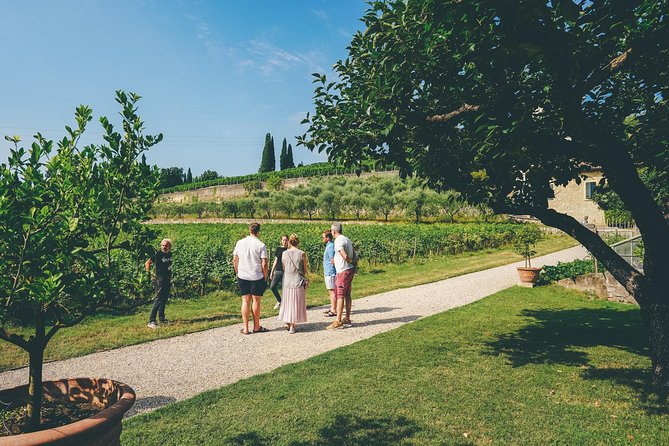 Amarone Wine-tasting Tour from Verona with Private Transportation - First Winery Visit: Cellar Tour, Winemaker Stories, and Amarone Tasting
