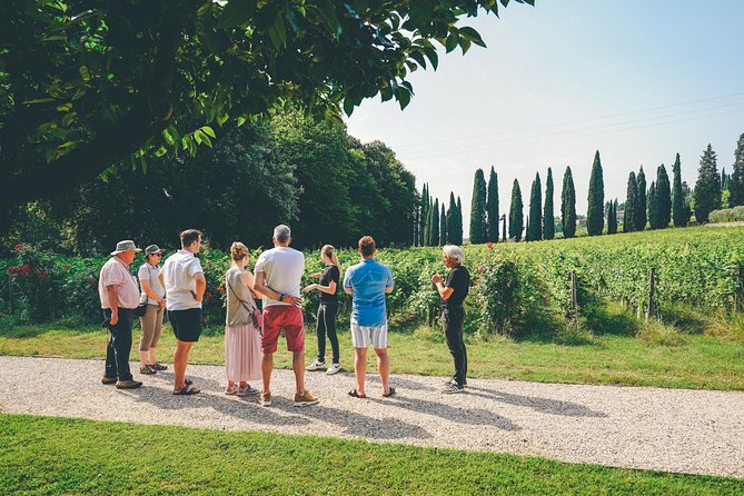 Amarone Wine-tasting Tour from Verona with Private Transportation - Second Winery Visit: Comparing Aromas and Seeing a Different Side
